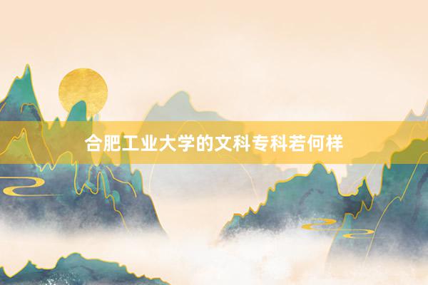 合肥工业大学的文科专科若何样