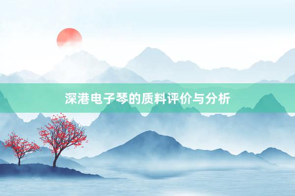 深港电子琴的质料评价与分析