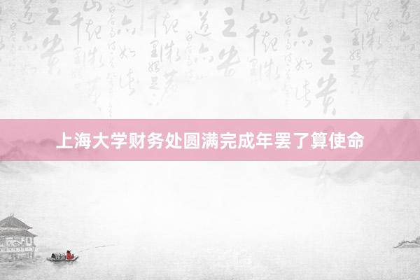 上海大学财务处圆满完成年罢了算使命